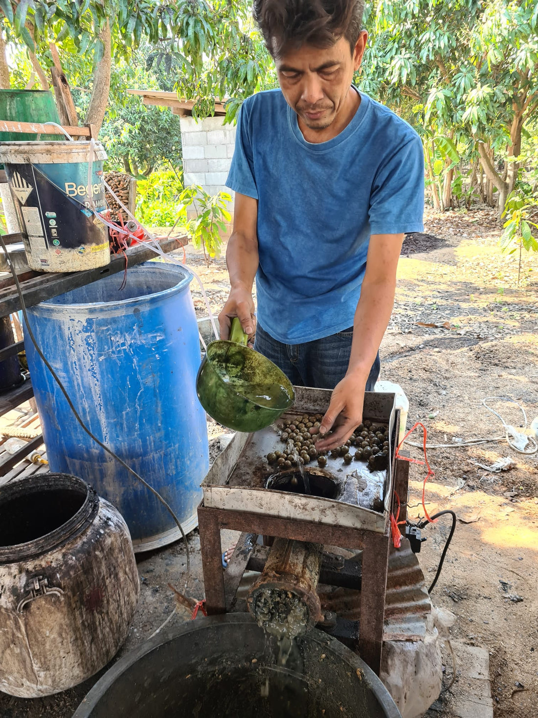 Hand Dyeing with Indigo in Thailand